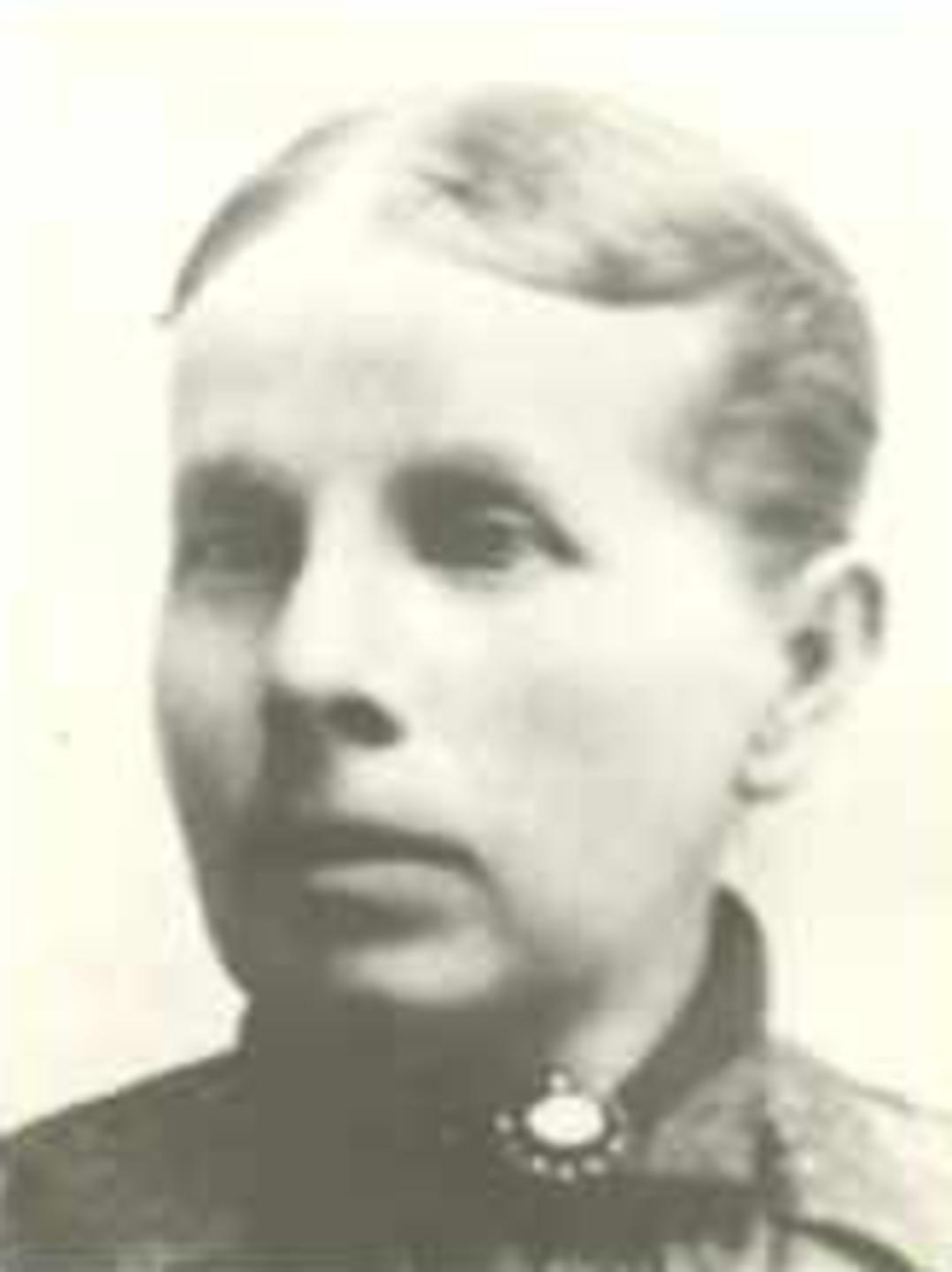 Jane Clarissa Miller (1841 - 1896) Profile